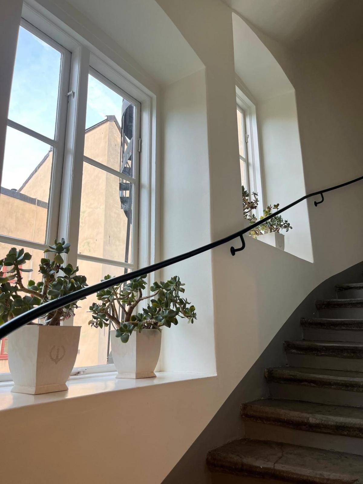 Luxury In Old Town *